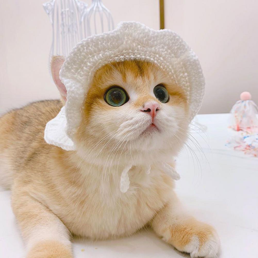 Pet Hat Delicate Hemming Pendant Decor High Elasticity Cute Pet Adjustable Strap Knitted Hat for Party Dog Headwear